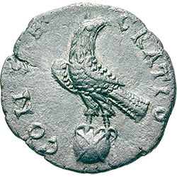 DIVUS COMMOSUS Denar 195 n.Chr., Rmische Mnzen der Kaiserzeit (Rückseite)